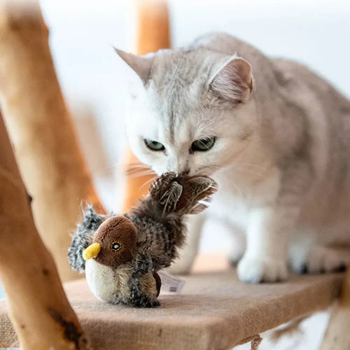 Interactive  Bird Cat Toy