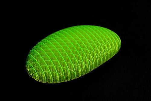 GleeWorm Fidget
