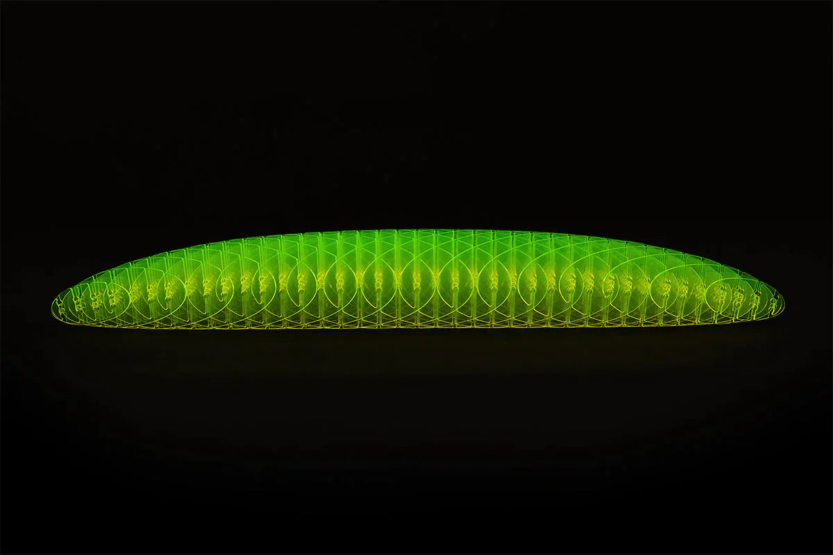 GleeWorm Fidget